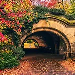 Brooklyn Beautiful *