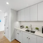 Greenpoint 1 Bedroom W Work Setup By Anyplace - 11735 New York