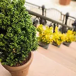 Luxury Duplex In 1880s Brownstone W Private Garden Apartment New York