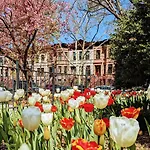 Luxury Duplex In 1880s Brownstone W Private Garden *