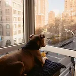 Smyth Tribeca Hotel 4*