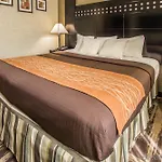 Inn Rodeway Bronx Zoo 4*