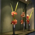 Kasa The Duffy Times Square 3* New York