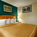 Midtown Convention Center Nyc Hotel New York