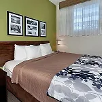 Hotel Cresthaven Jamaica-jfk