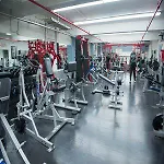 Greenpoint Ymca Brooklyn Hostel New York
