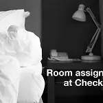 Motel Knights - Jfk Airport