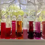 Covert St Home