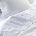 Sheraton Jfk Airport Hotel