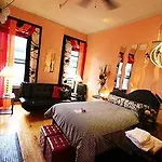 The International Cozy