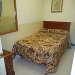 Hostel The Sunbright *