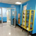 The Sunbright Hostel New York