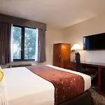 Sumner Hotel New York