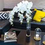 Amazing Soho Apartments With Private Backyard