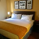 The Vue Inn Brooklyn