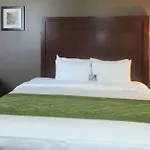 Hotel Comfort & Near Jfk Air Train 3*