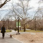 Central Park Overlook