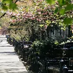 3Rd Street Place