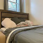 1 Room For Rent In Bushwick Brooklyn New York
