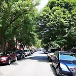 Superb Green Apt In Center Of Nyc
