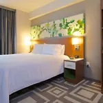 Hilton Garden Park South-midtown West 3* New York