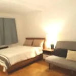 Spacious Studio In An Elevator Concierge Building