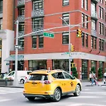 Giraffe By Library Collection New York