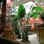 Chelsea Savoy New York