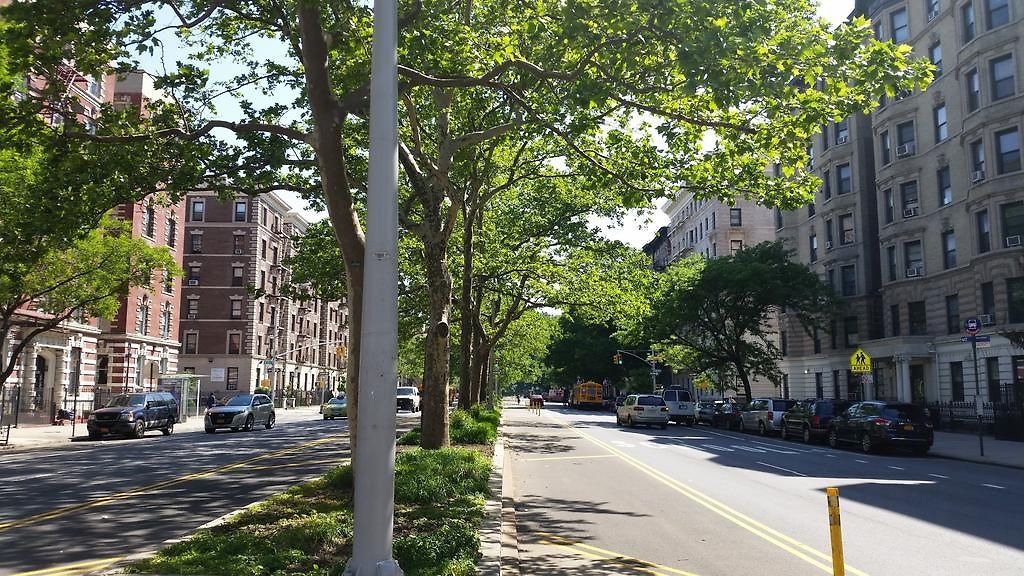 The Park North