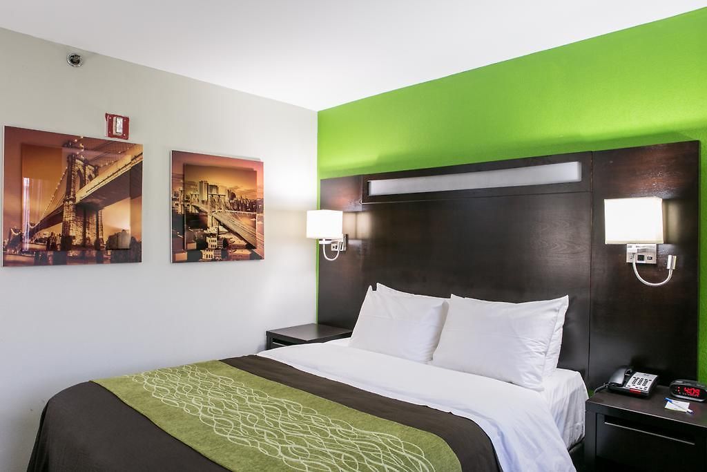 Comfort Near Barclays Center - Crown Heights