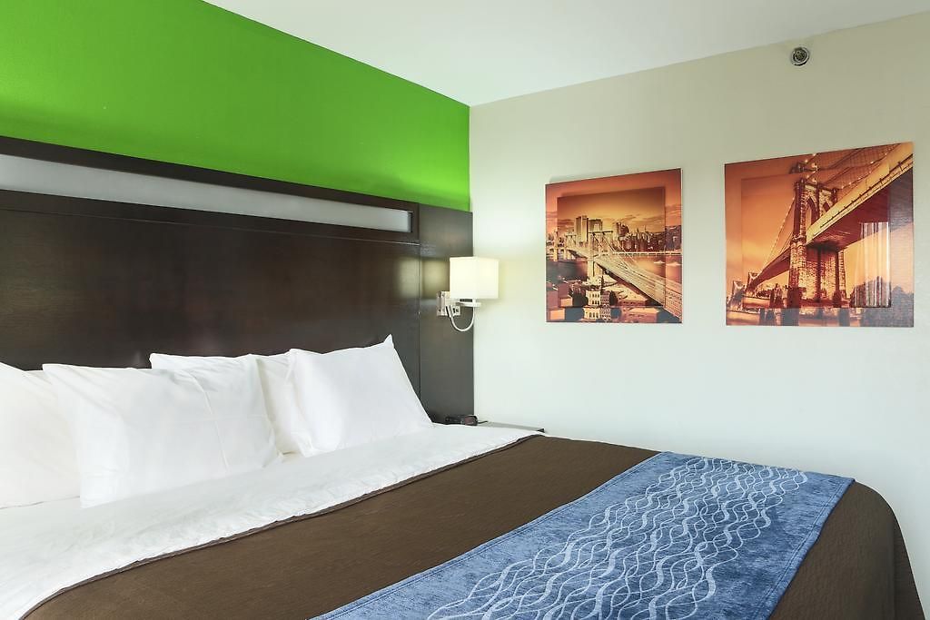 Comfort Near Barclays Center - Crown Heights New York