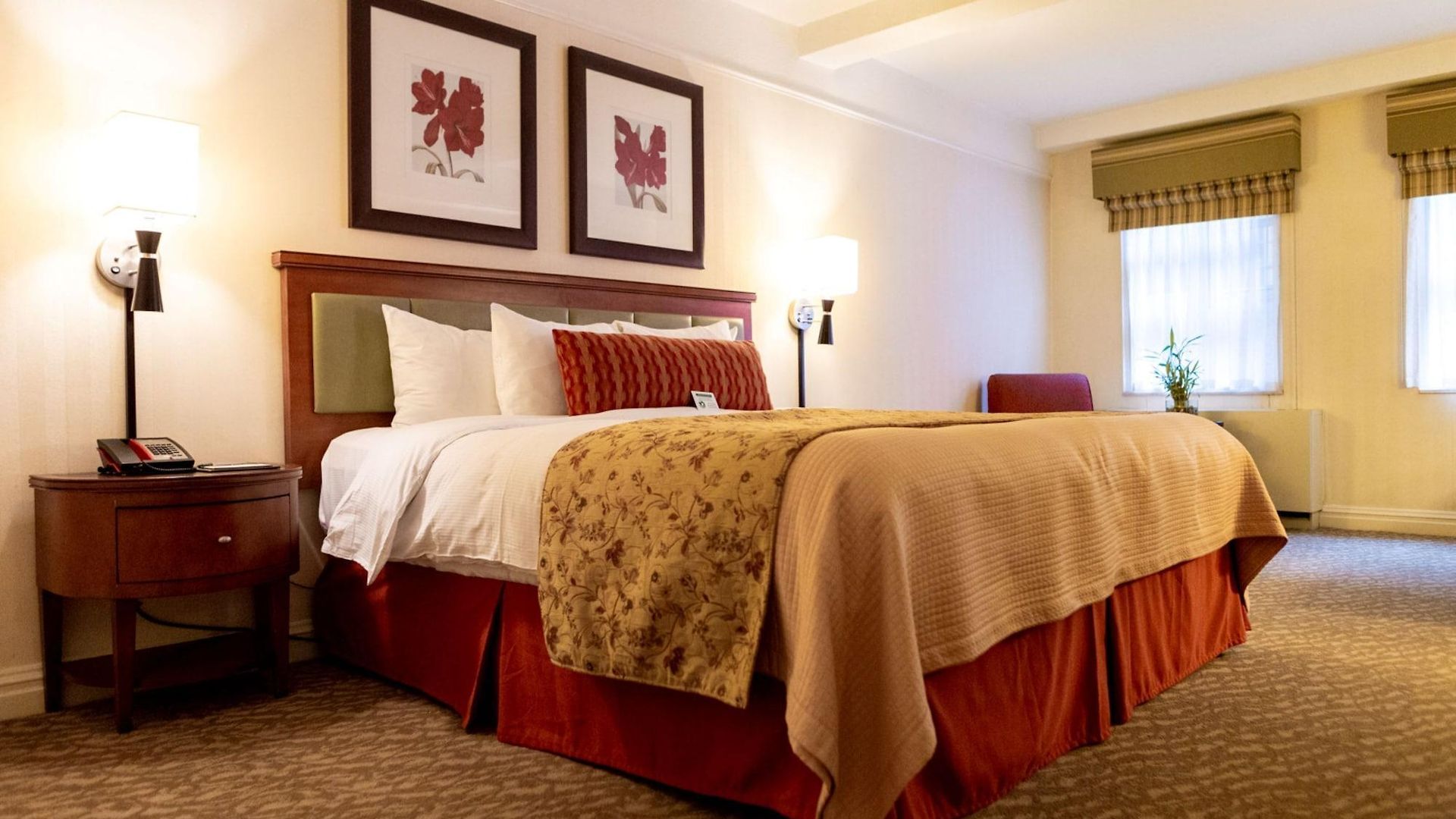 Hotel San Carlos