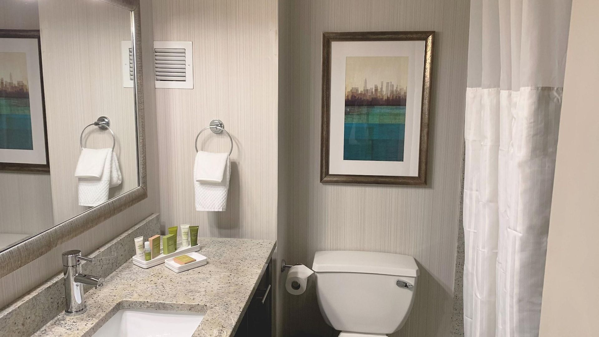 Hotel Hilton Jfk Airport 3*