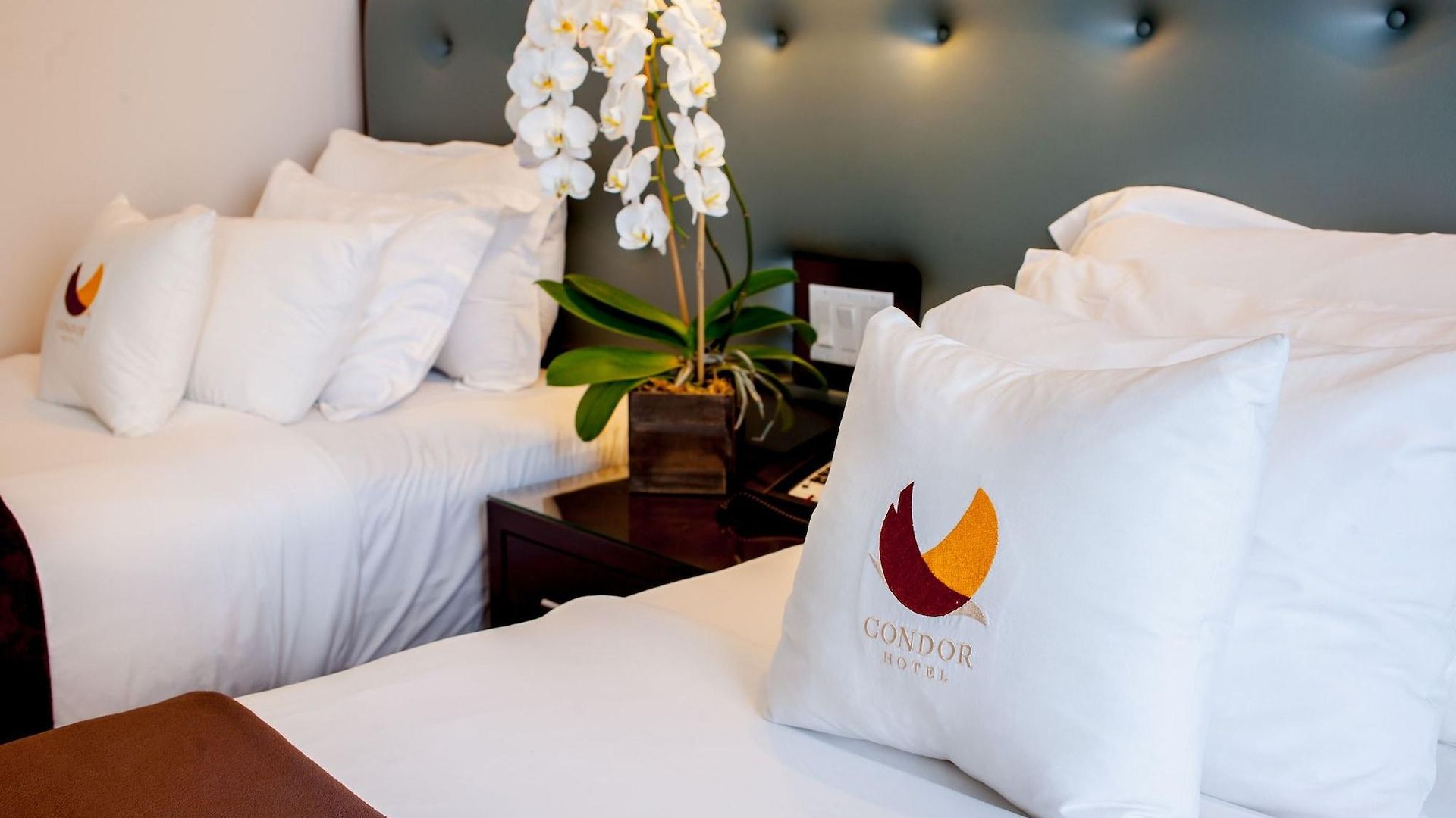 Aura Brooklyn Hotel