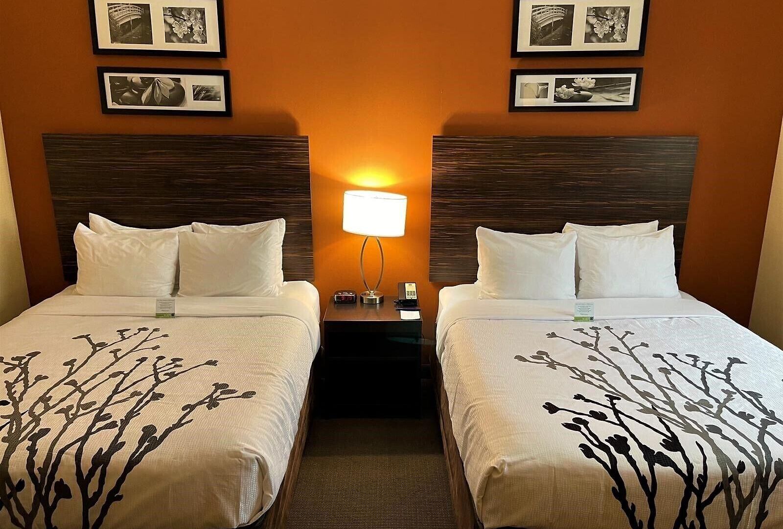 Hotel Sleep Long Island - Manhattan View New York