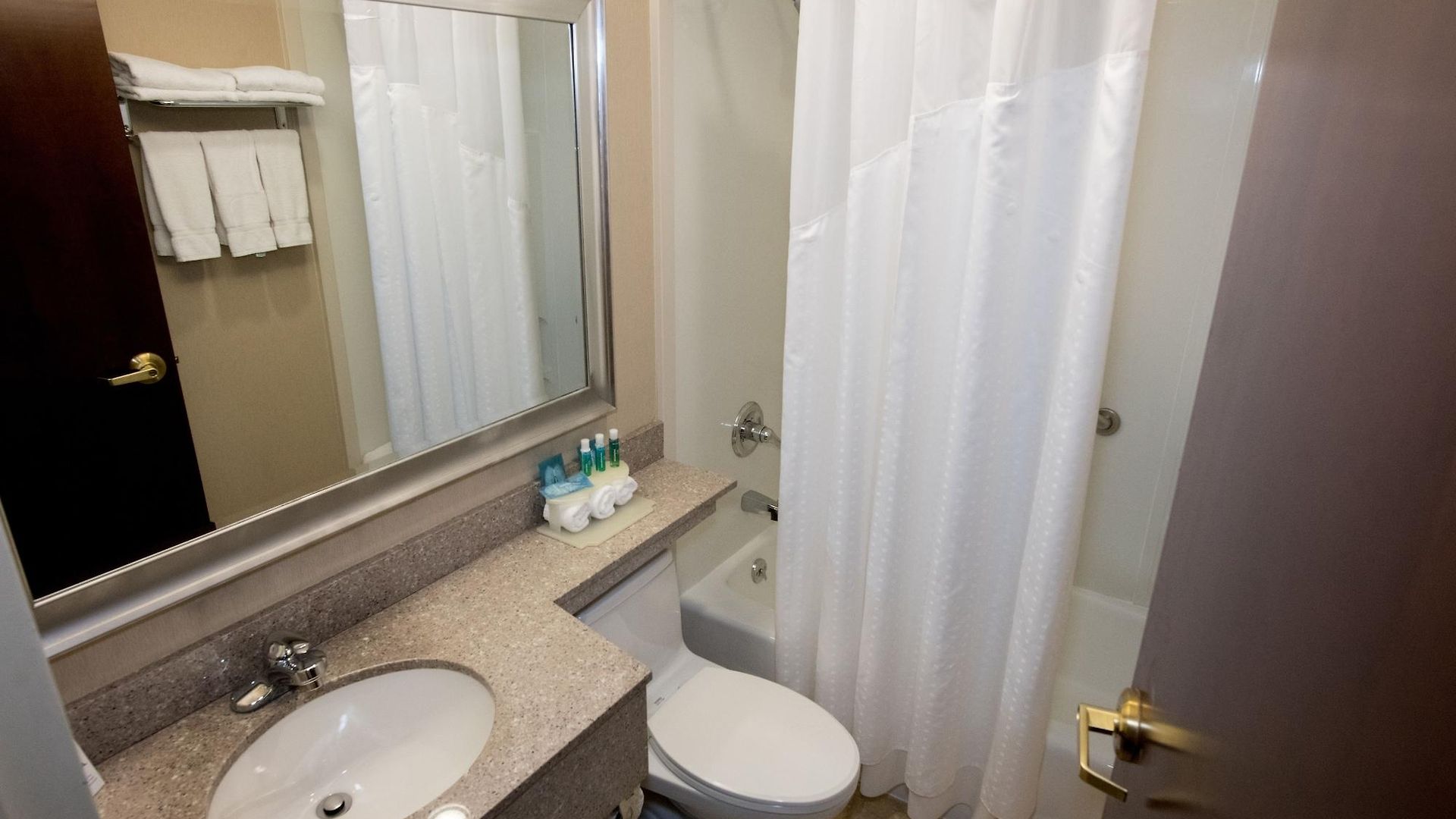 Express Kennedy Airport, An Ihg Hotel 3*