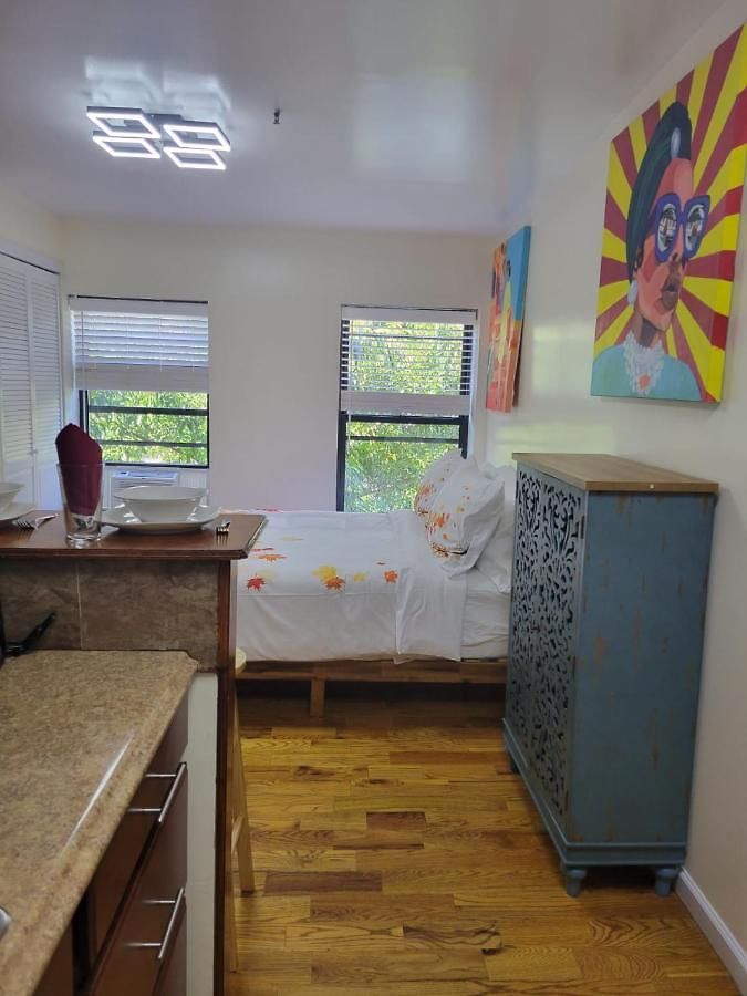The Harlem Cascades Apartment *