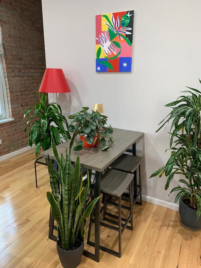 Urban Jungle Oasis In Queens! *