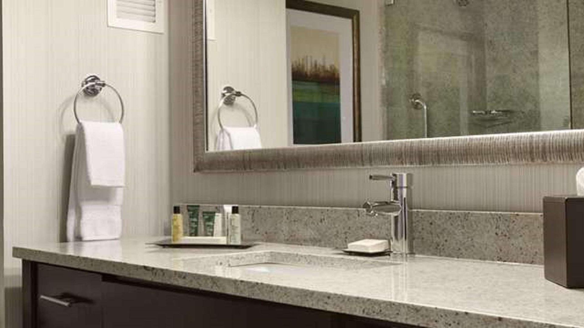 Hotel Hilton Jfk Airport New York