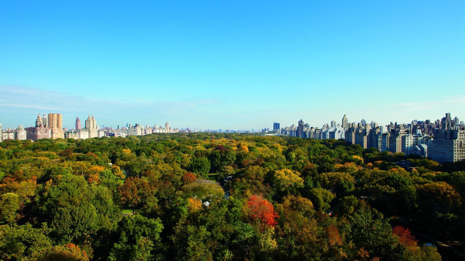The Ritz-carlton New York, Park Hotel