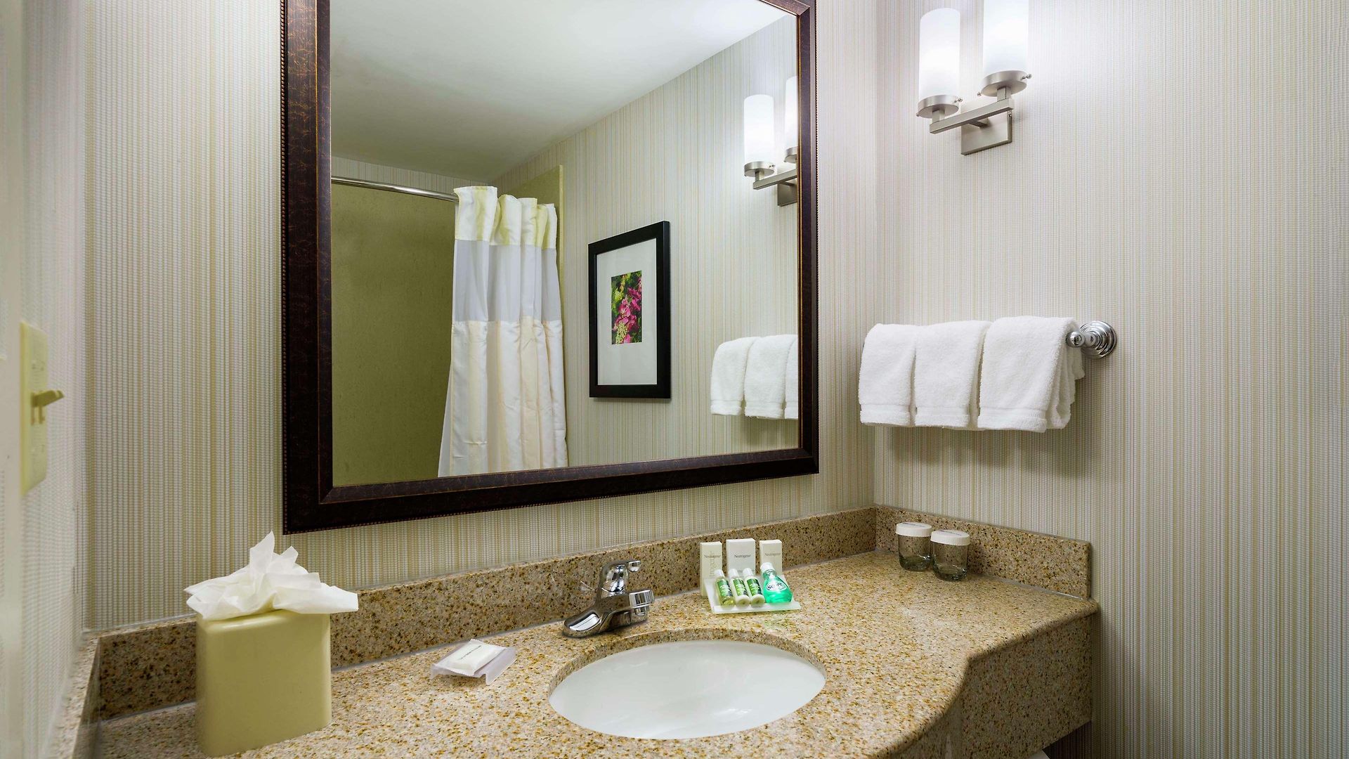 Hilton Garden Queens Jfk 3* New York