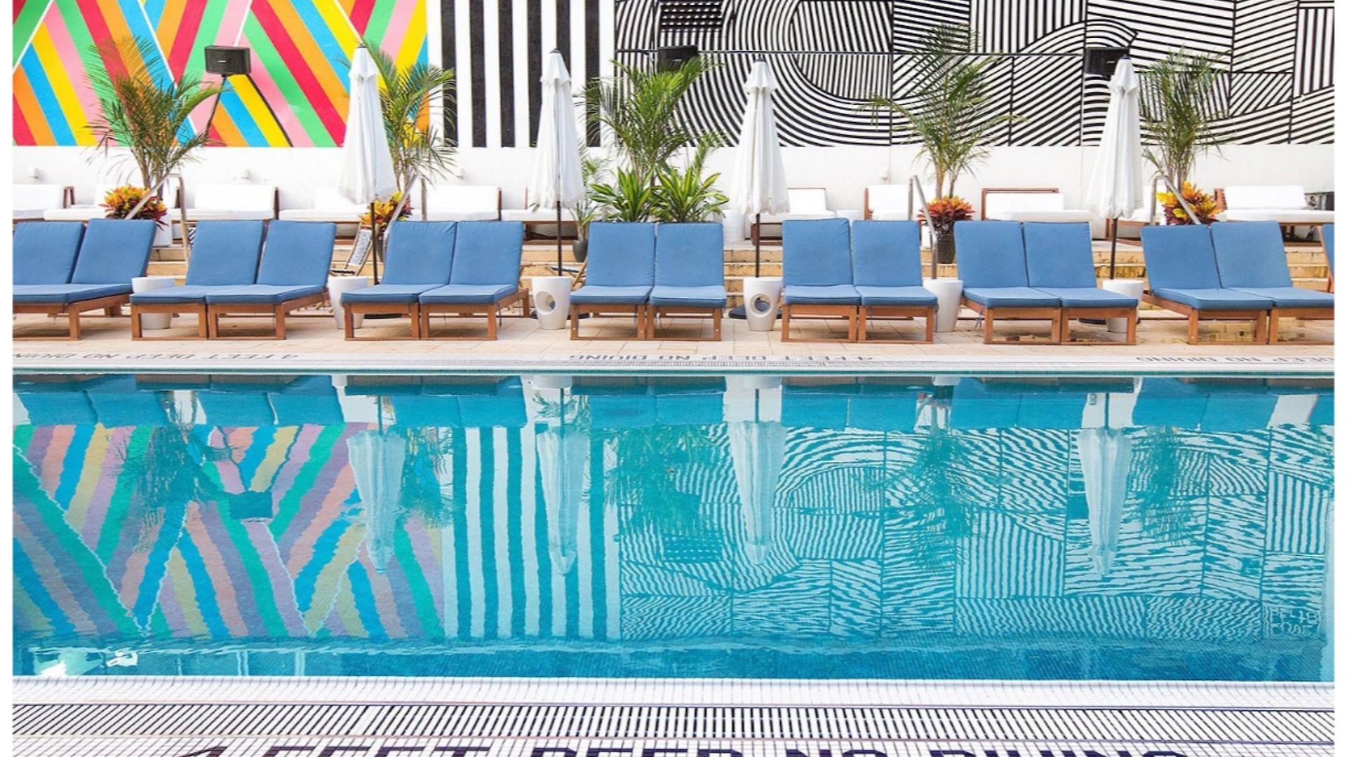 Hotel Coda Williamsburg