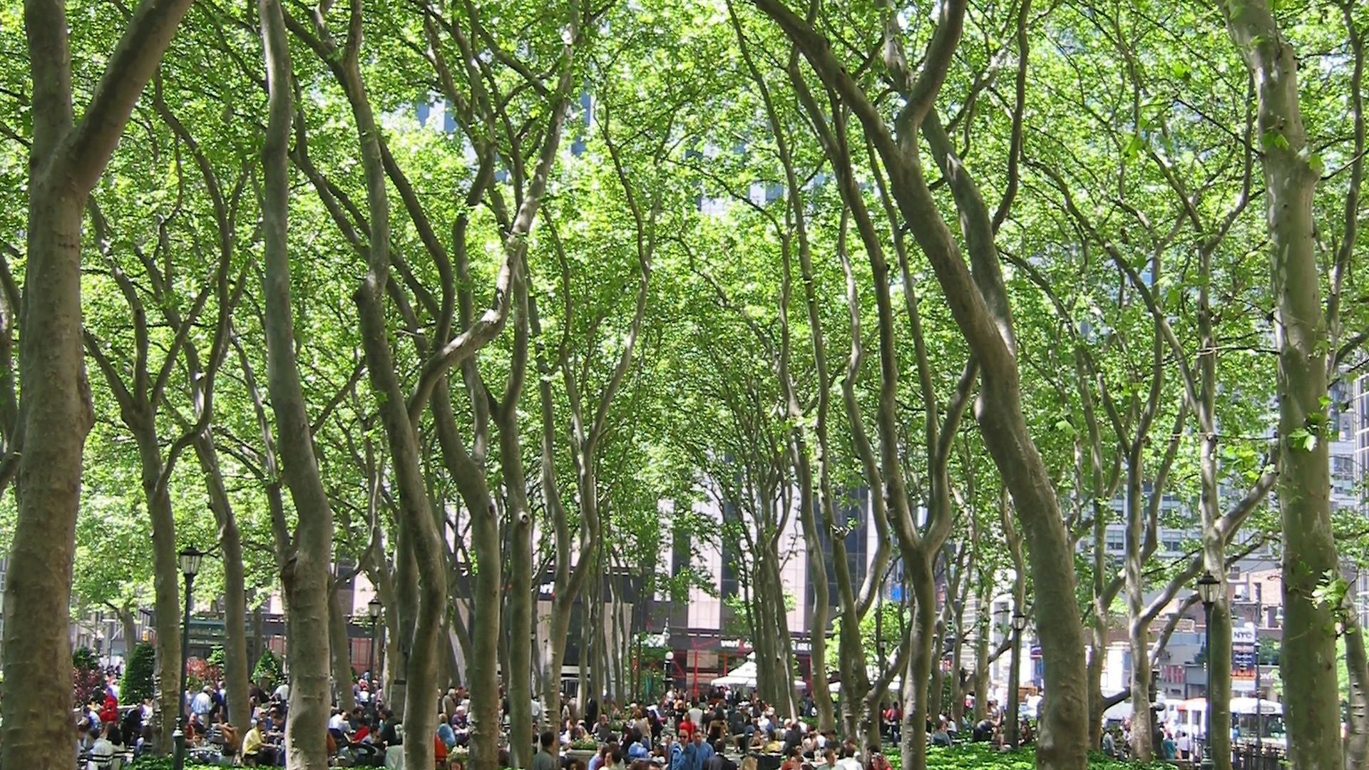 Bryant Park Hotel New York