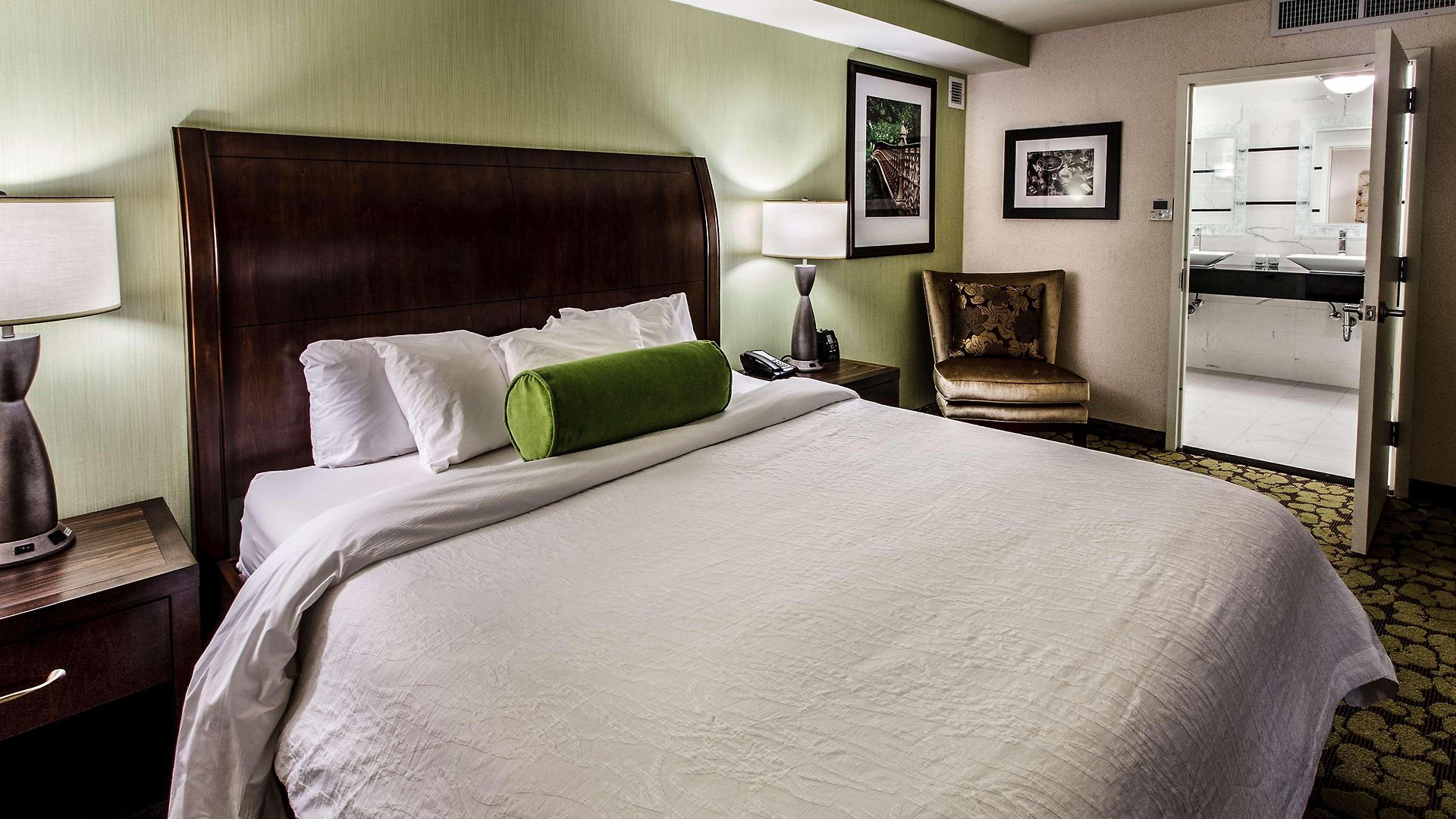 Hilton Garden New York/staten Island New York