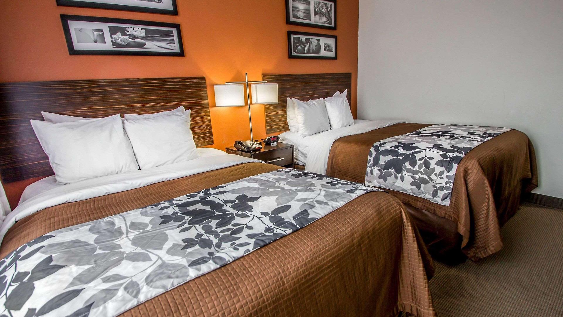 Sleep Jfk Airport Rockaway Blvd Inn