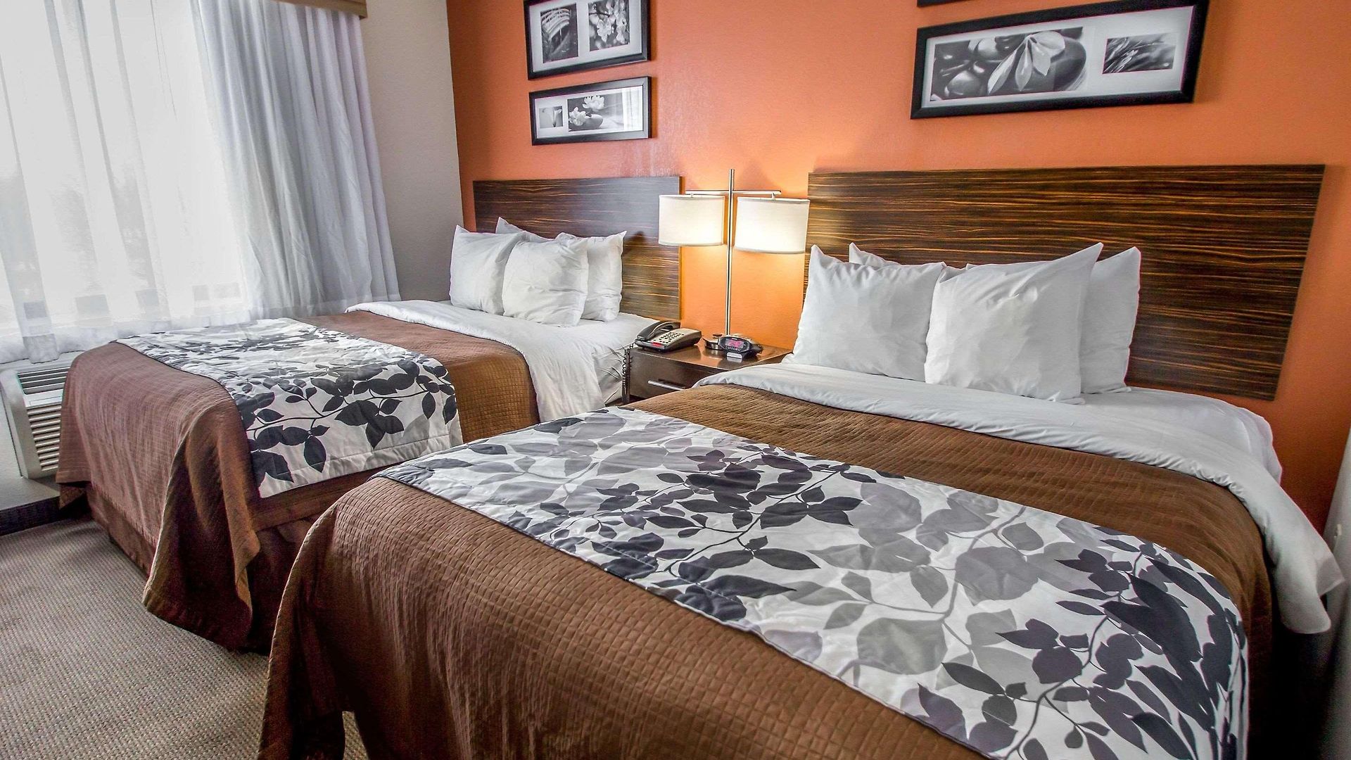 Inn Sleep Jfk Airport Rockaway Blvd