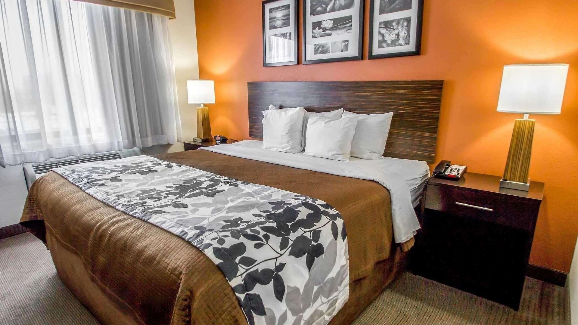 Sleep Jfk Airport Rockaway Blvd 4*