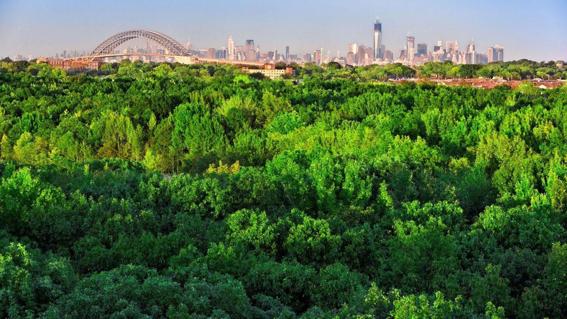 Hotel Hilton Garden New York/staten Island 3*