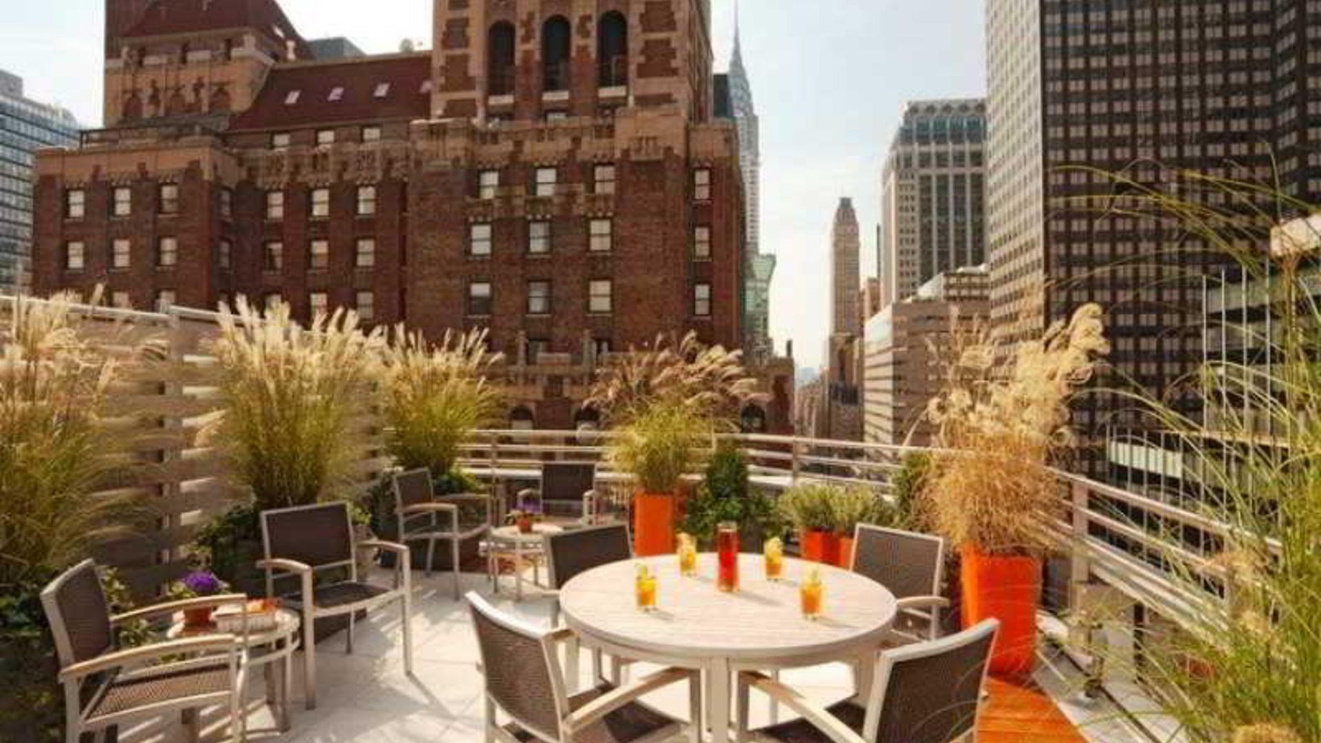 48lex Hotel
