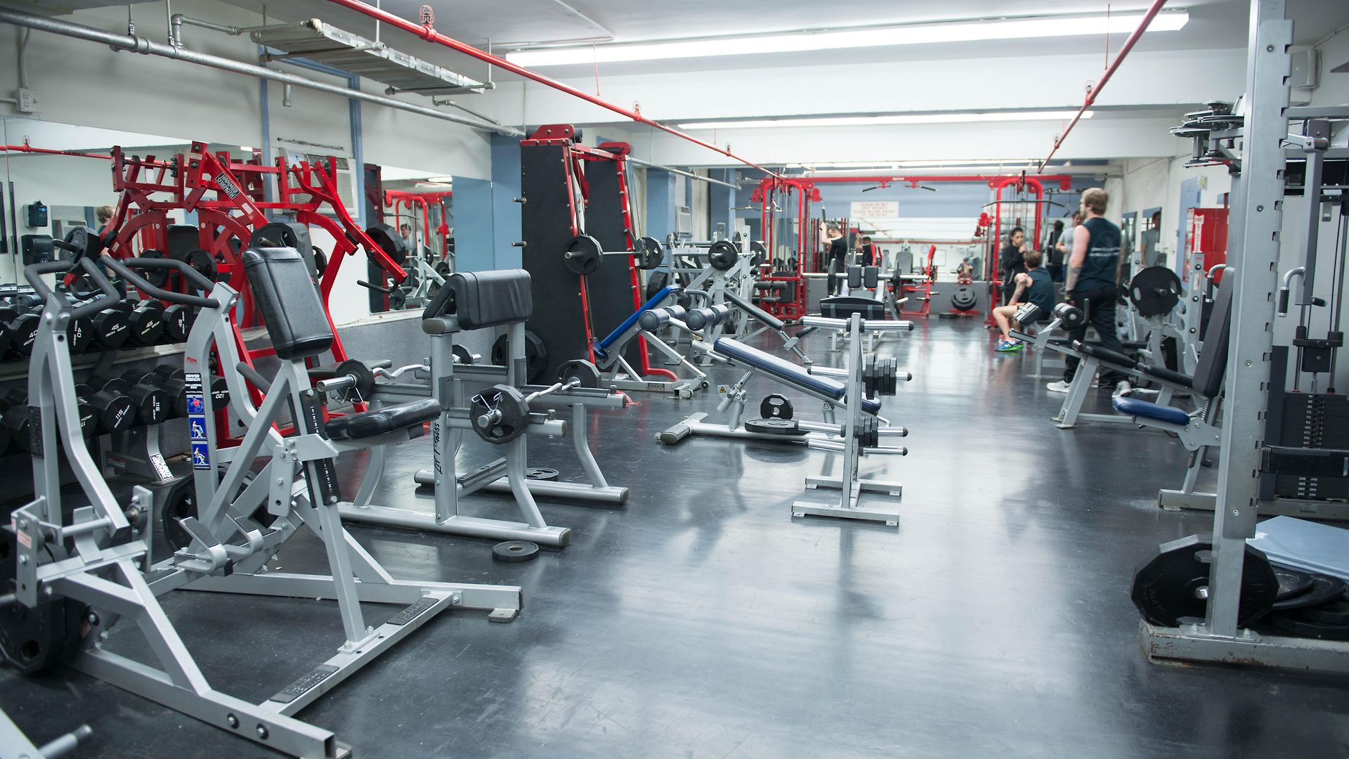 Greenpoint Ymca Brooklyn Hostel New York